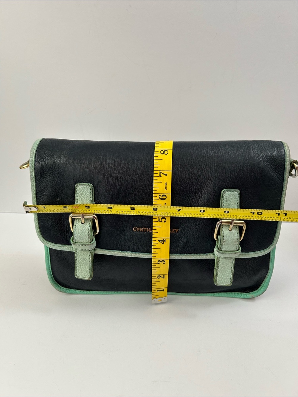 Cynthia Rowley - Leather Messenger Bag. Project Bag! - Picture 11 of 16